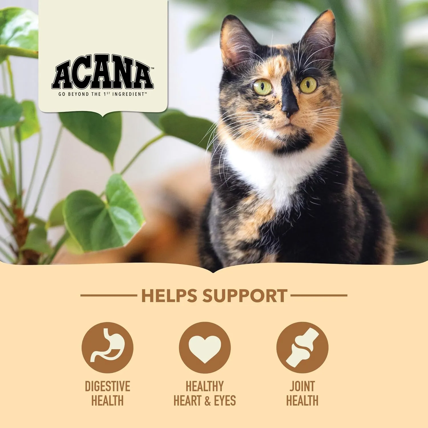 ACANA Senior Entree Dry Cat Food for Senior Cats (7  Years), Free Run Chicken and Turkey Recipe, 4lb