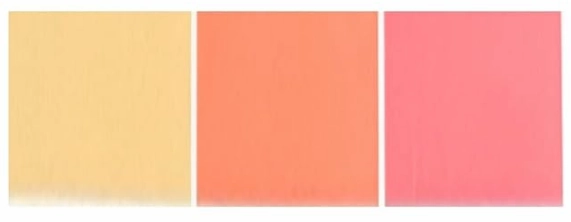 Covergirl Clean Fresh Blush Palette (Peachy Doll)