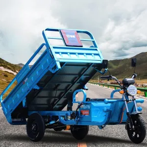 Electric Tricycle Cargo Van,Electric Tricycle,Home Delivery Vehicle,Agricultural Tricycle,Elderly Vehicle,Warehouse Van,1000W Differential Motor,60V~45Alarge capacity battery,500KG Loader Hopper