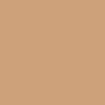 FACES CANADA All Day Hydra Matte Foundation Honey Beige 031 15ml