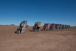 Historic Pictoric Photo- Robert Griffin is no Spray-Painting Vandal. Like Thousands of Other Visitors to The Cadillac Ranch Along Old U.S 3 Fine Art Photo Reproduction 24in x 16in