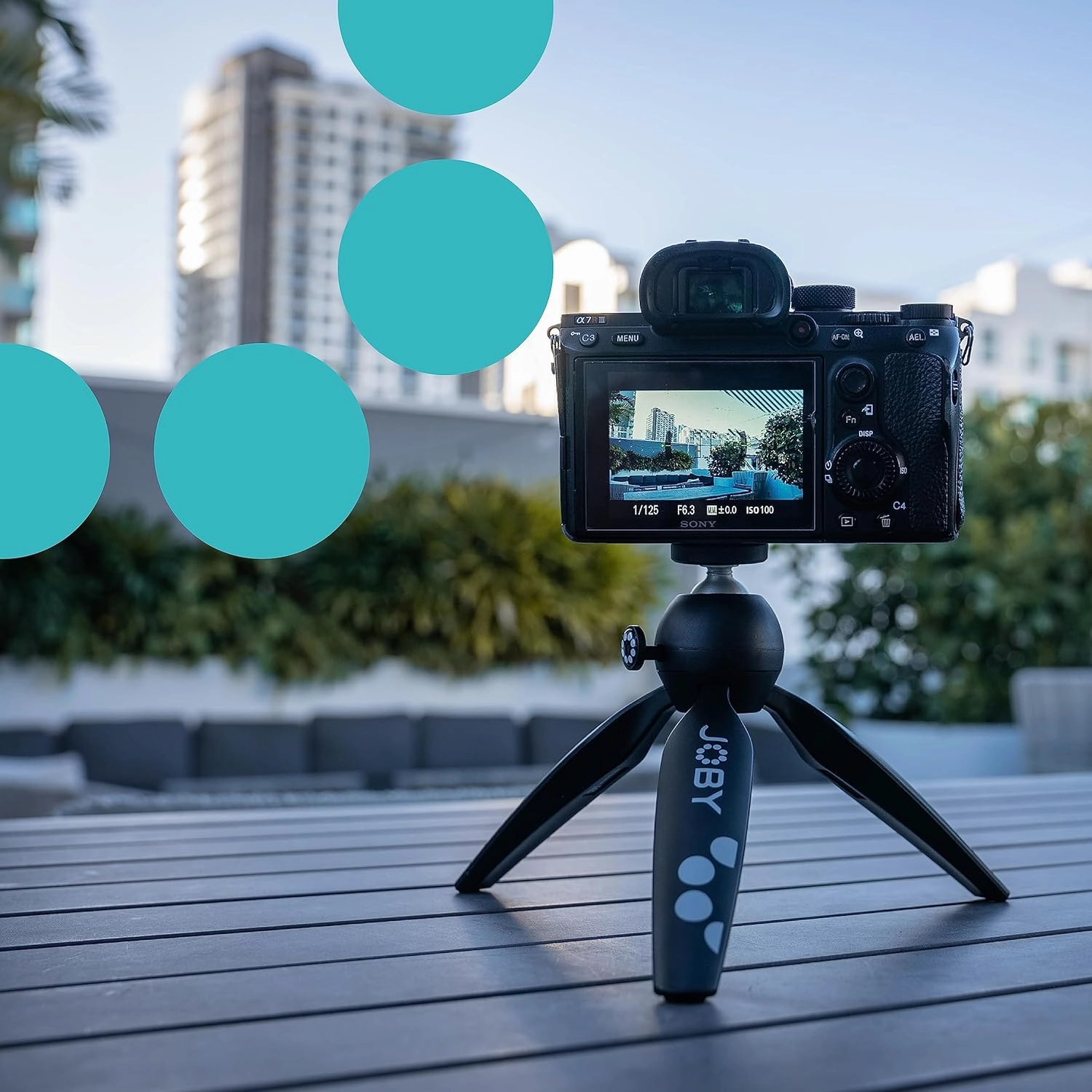 JOBY HandyPod 2, Table Top Tripod with BallHead, Handheld Phone Tripod for Smartphones, Action Cam and Mirrorless Cameras or Devices up to 1.0Kg (2.2lbs), Black
