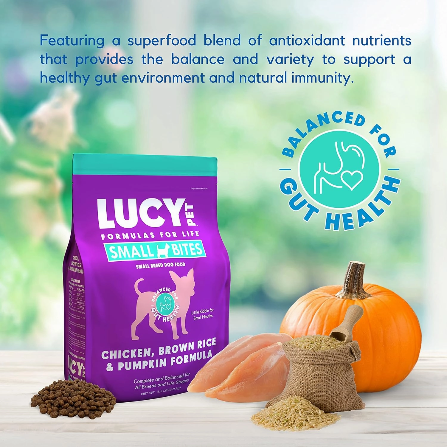 Lucy Pet Products Chicken, Brown Rice & Pumpkin LID Small Bites Dog Food 4.5lb