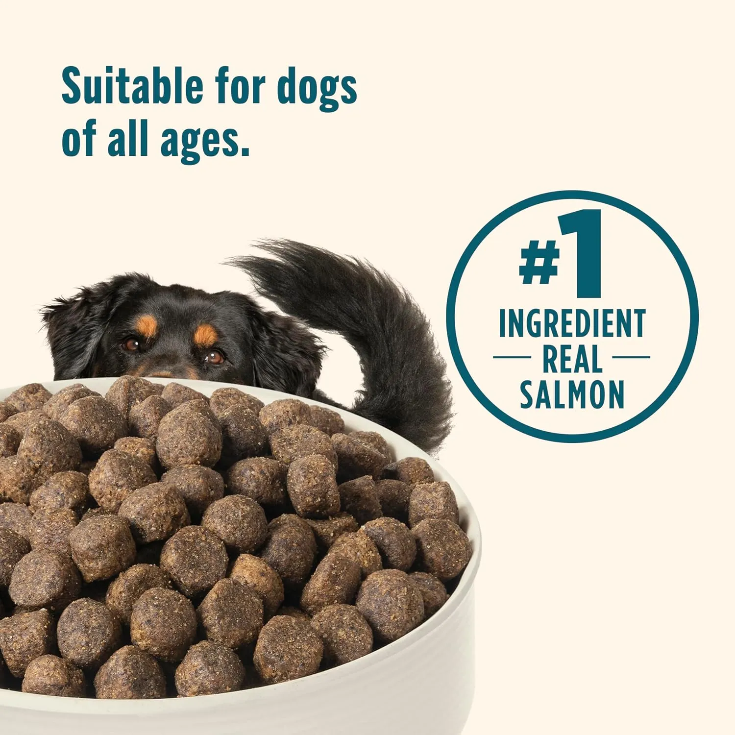 Nutrish Grain Free Salmon & Sweet Potato Recipe Dry Dog Food, 11.5 lb. Bag, Packaging May Vary (Rachael Ray)