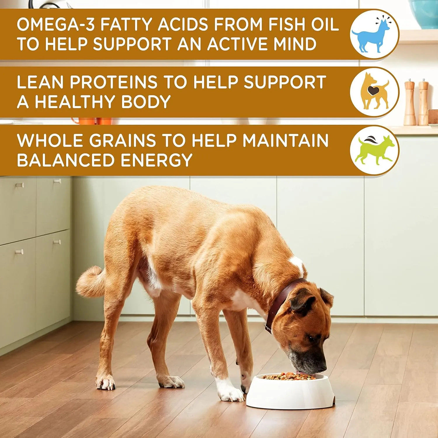 Rachael Ray Nutrish Chunks in Gravy Wet Dog Food Variety Pack, 13 Ounce (Pack of 12)