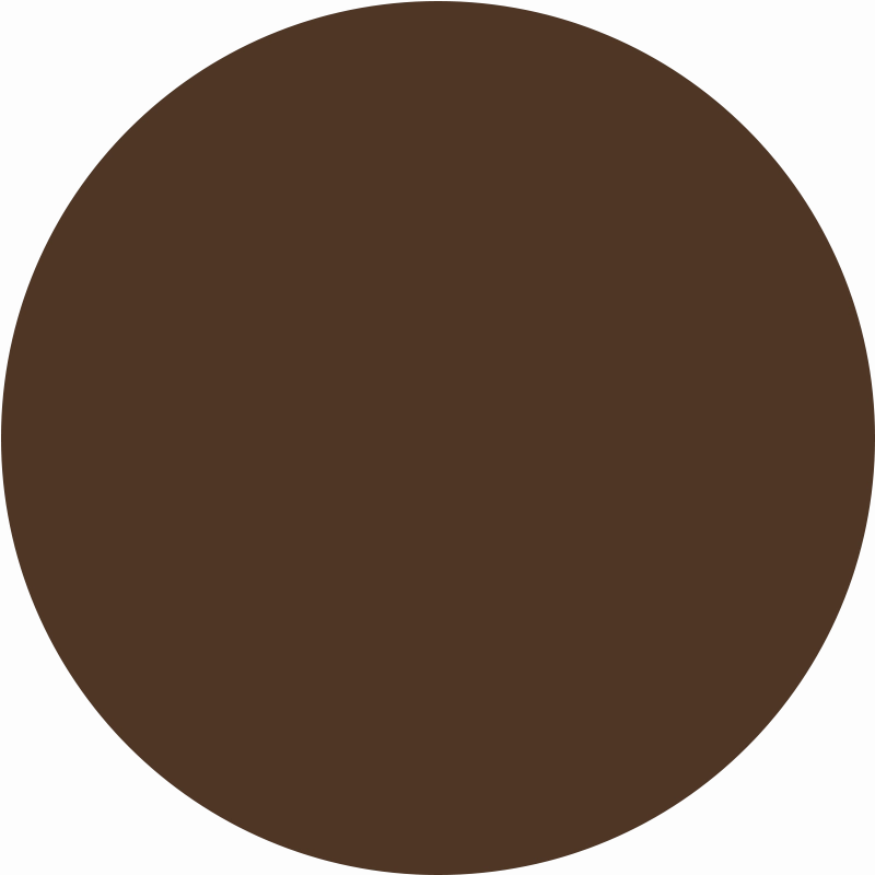 Ritual Skin Foundation Stick Deepest