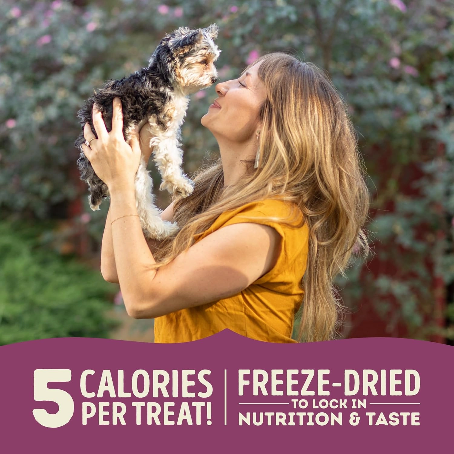 Singles Freeze Dried Dog Treats, Limited Ingredient Grain Free Lamb & Apple Recipe, 3.25oz