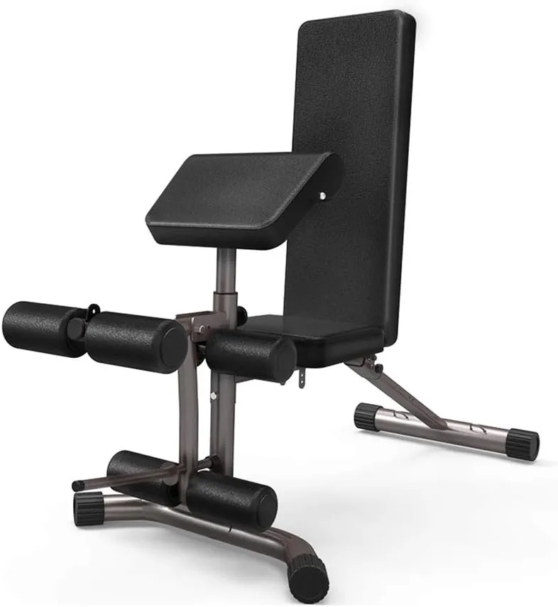Small Dumbbell Workout Bench - Dumbbell Bench Home Adjustable Multi-Function Fitness Chair Fitness Bench for Bench Press Professional Dumbbell Flying Bird Chair,