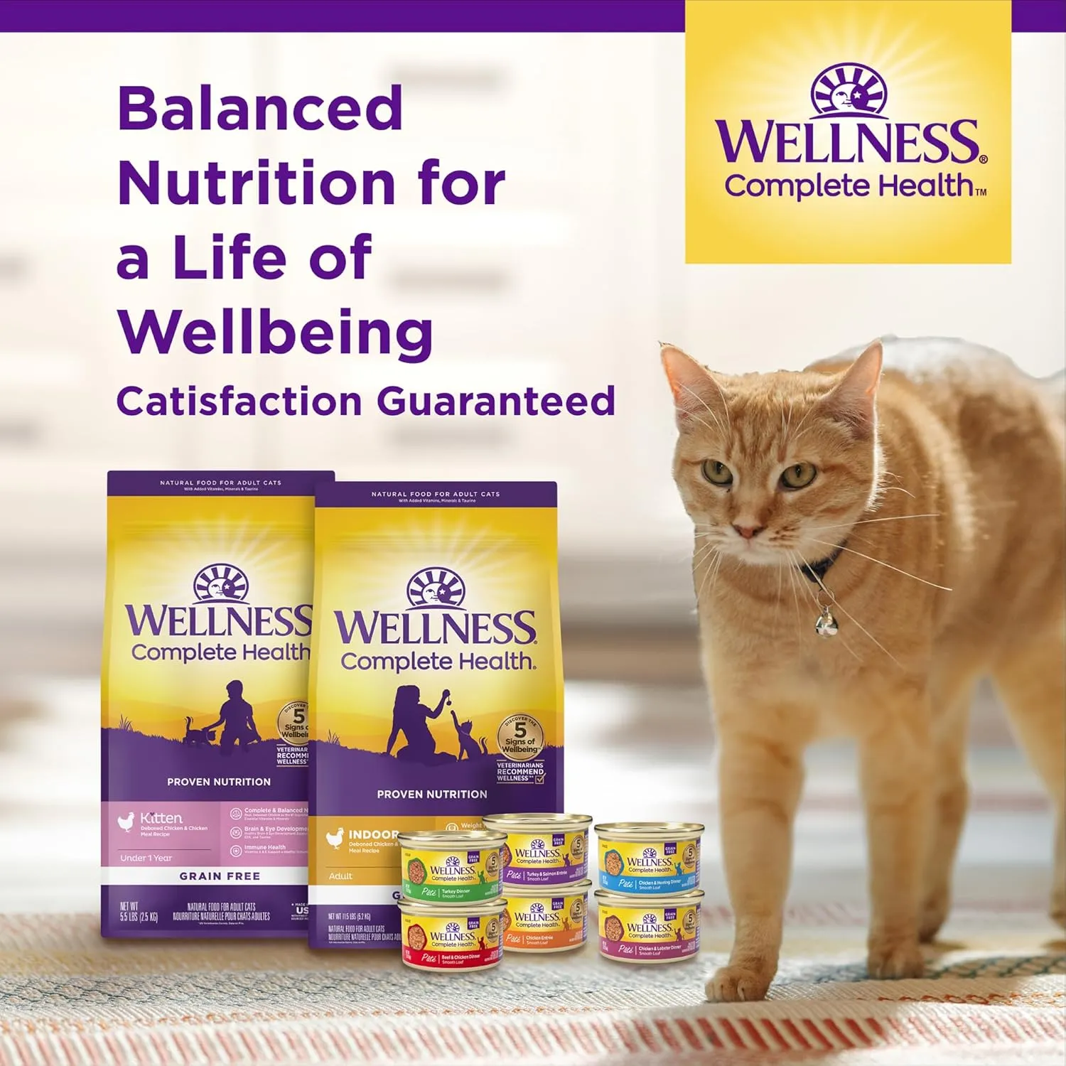 Wellness Complete Health Adult Dry Cat Food for Indoor and Outdoor Cats, Wholesome Grains, Natural, Chicken & Chicken Meal (5 Pound Bag)