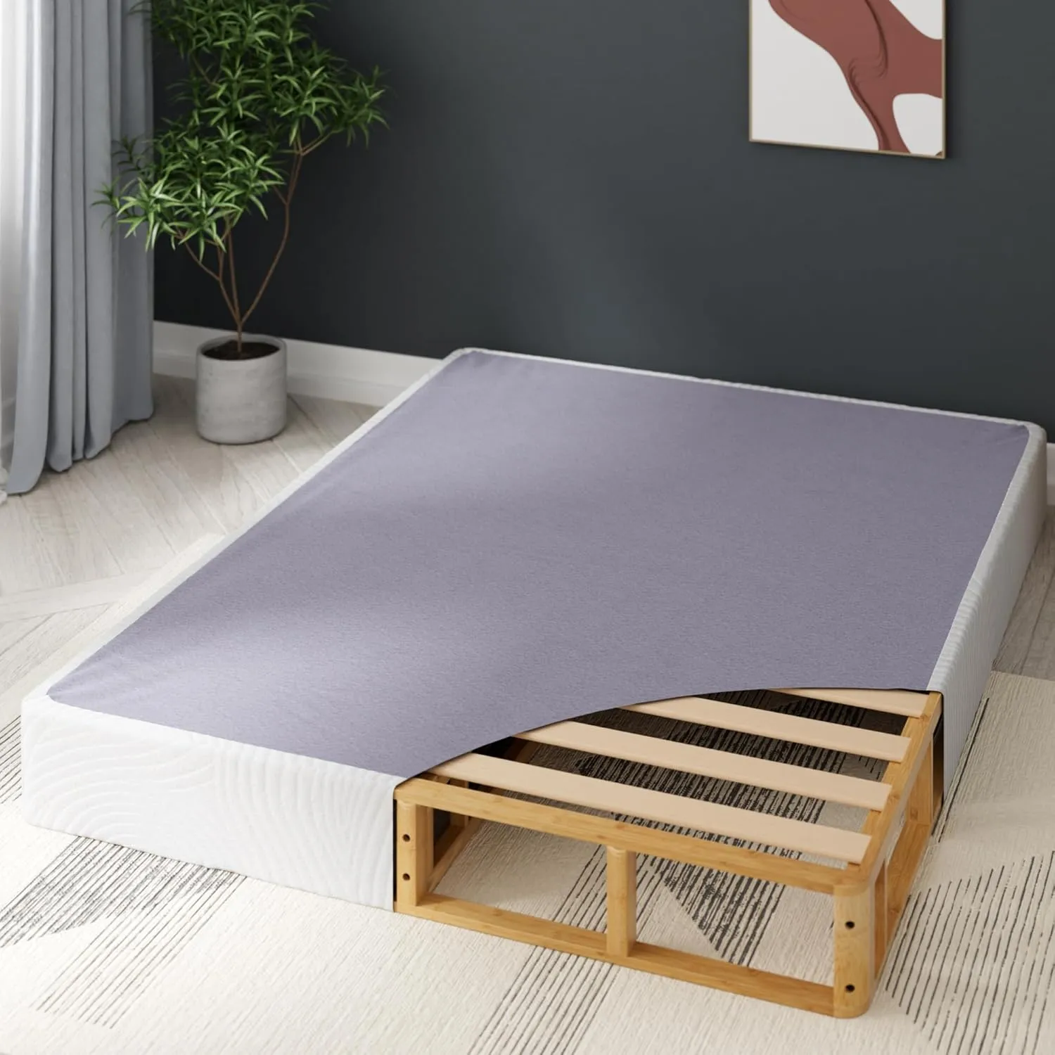 ZINUS Edgar 8 Inch Bamboo Box Spring, Mattress Foundation, Sturdy Bamboo Structure, Low Profile, Easy Assembly, Queen